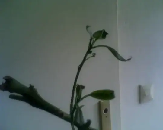 fresh young leaves
