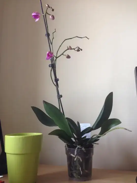 The happy pot