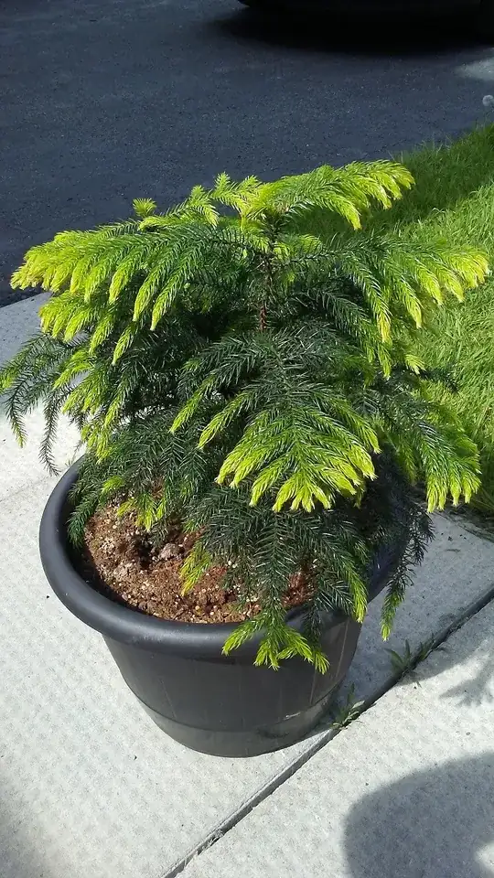 Side view