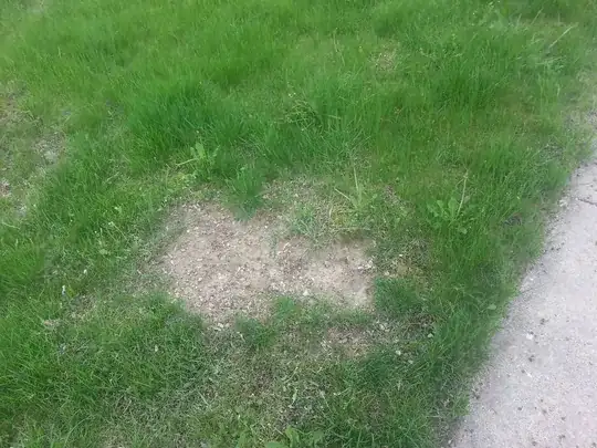 desert patch