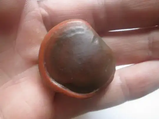 seed in hand