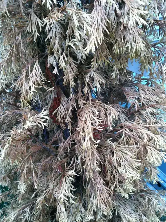 A dying tree