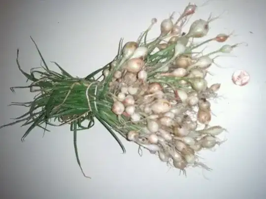 my onions