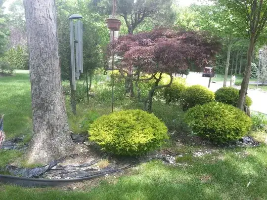 Front Bed 1
