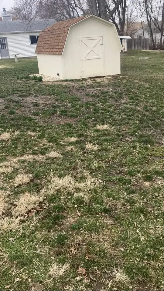 lawn
