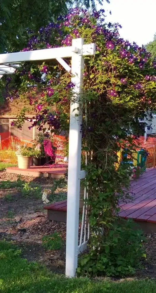 Vine with flowers