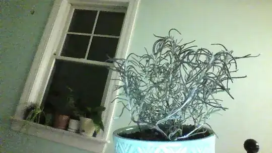 dying rosemary