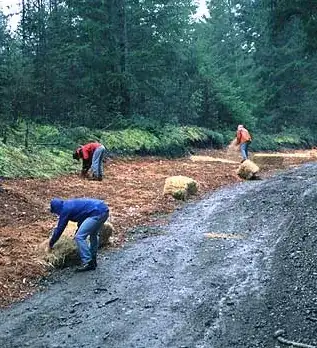 guys spreading wood mulch along the road