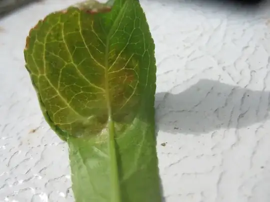 underside