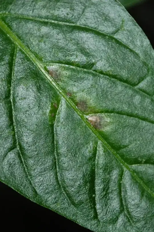 brown spots