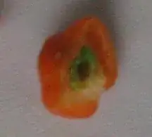 Inside Fruit / <code>Pea</code>