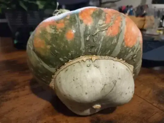 Weird Pumpkin - Bottom (Ghost Nub)