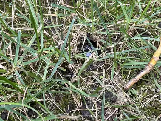 close picture 1