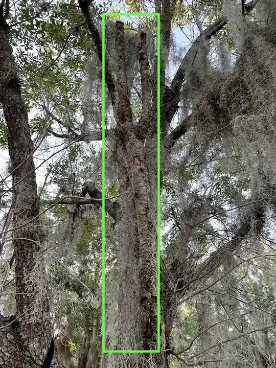 dead branches