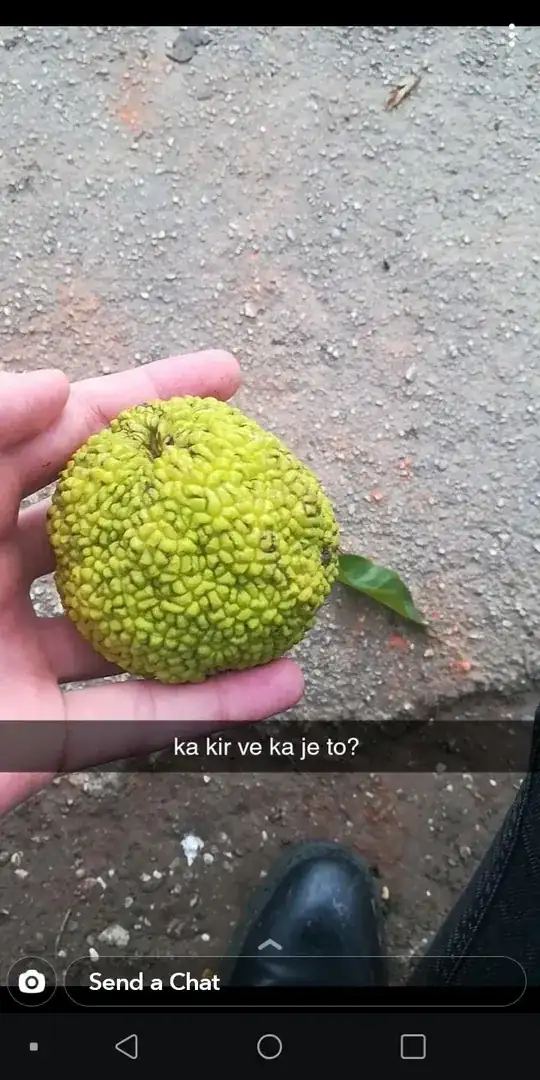 The picture of the fruit