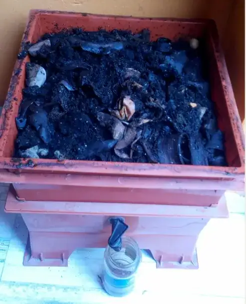 compost bin