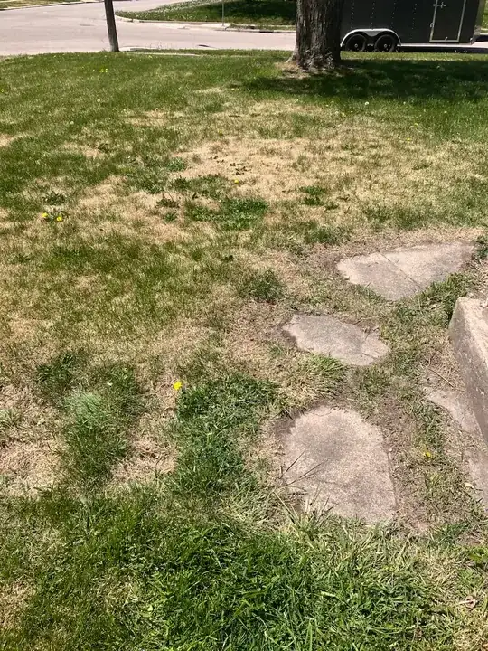 sidewalk