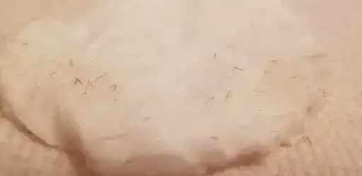 Wiped off