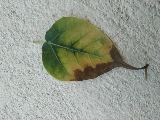 leaf turned brown.