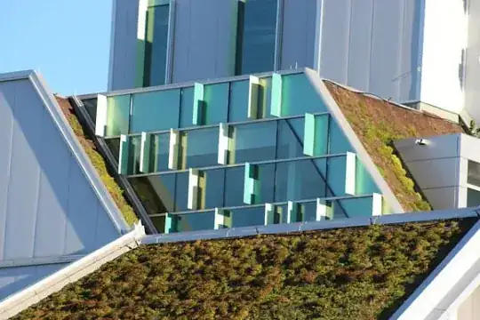 Algonquin College