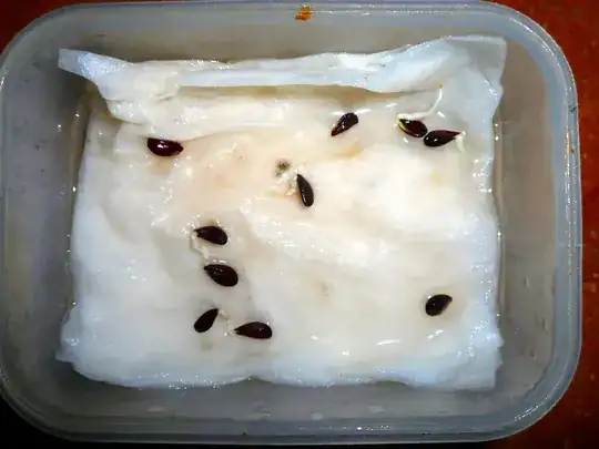 Apple Seed Sprouts