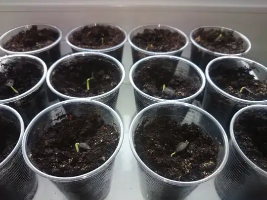 potted_sprouts