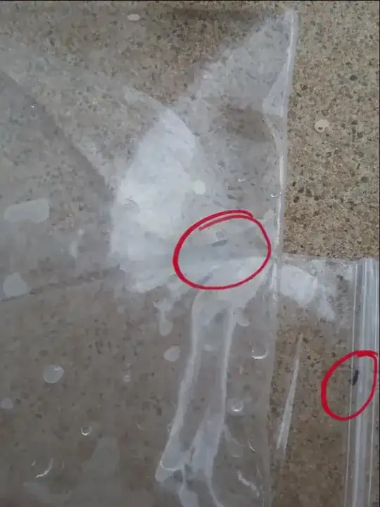 insect in small bag, highlighted in red