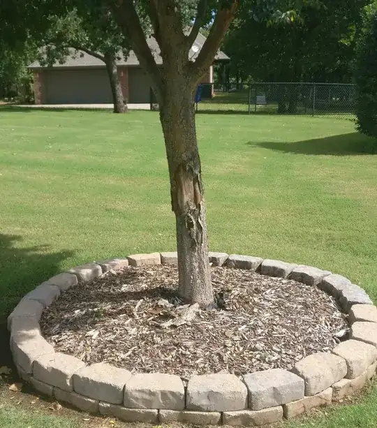 zoomed out tree damage