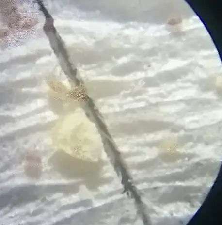video of movement