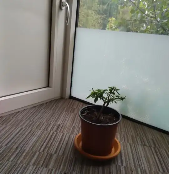 Bay Tree Position etc.