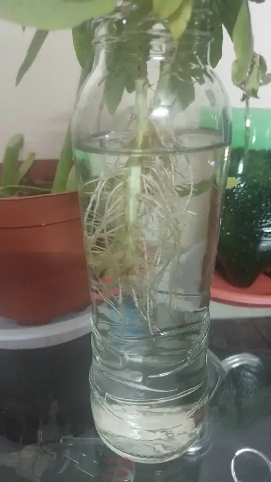 Cutting with developed growth