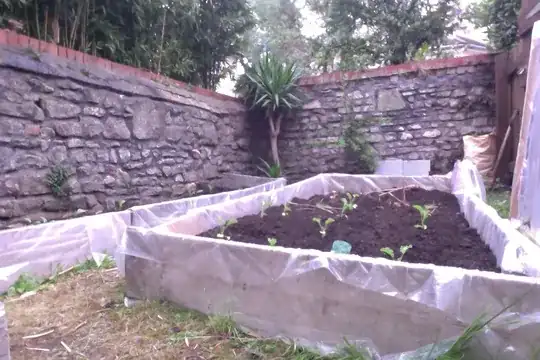 Beds depth