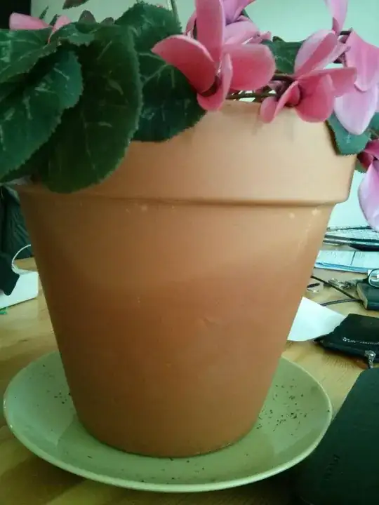 terracotta pot watermark