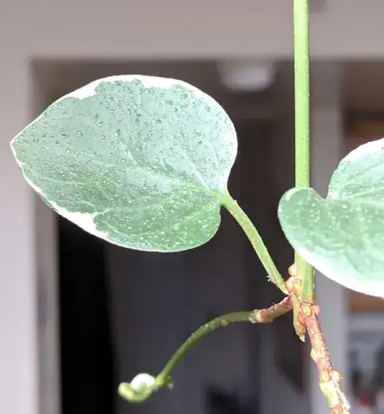 sappy leaf