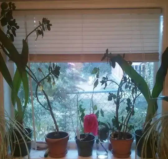 Kitchen windowsill