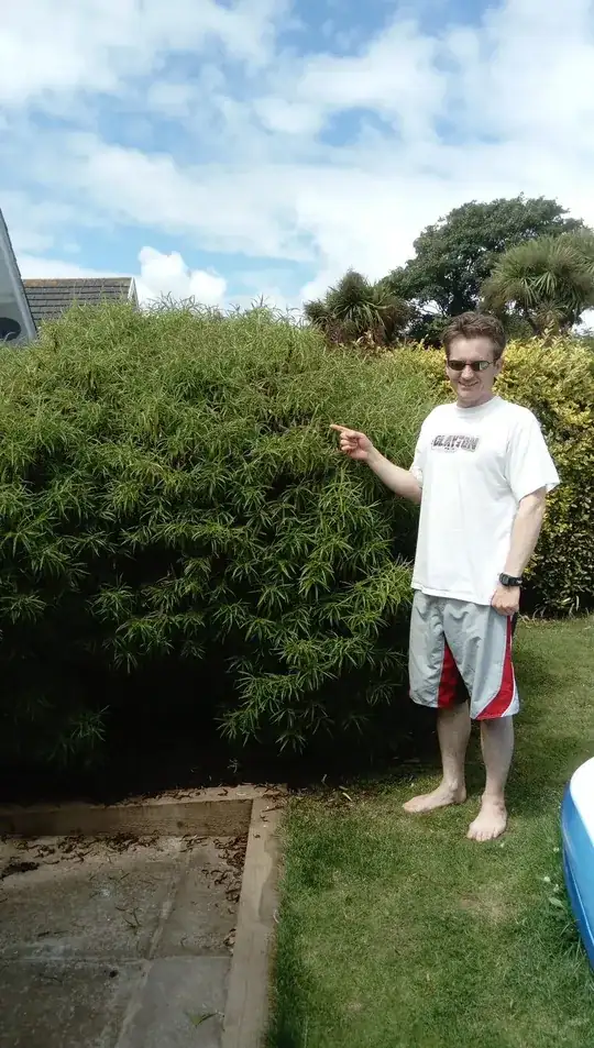 The whole shrub