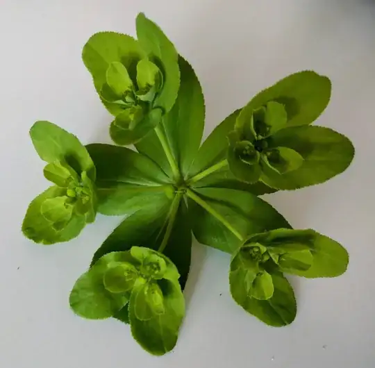 What is this?