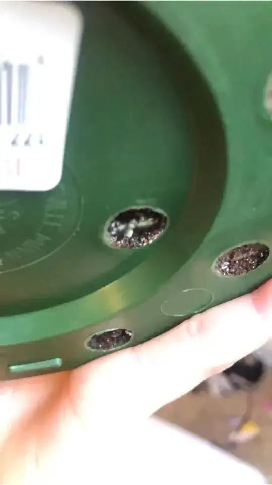 bottom of the pot