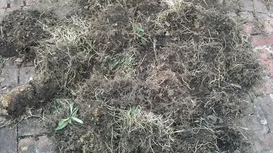 removed sod
