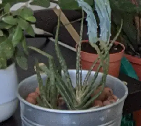 May 2020