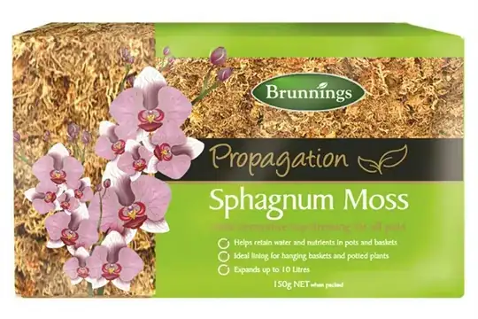 Brunnings Sphagnum Moss