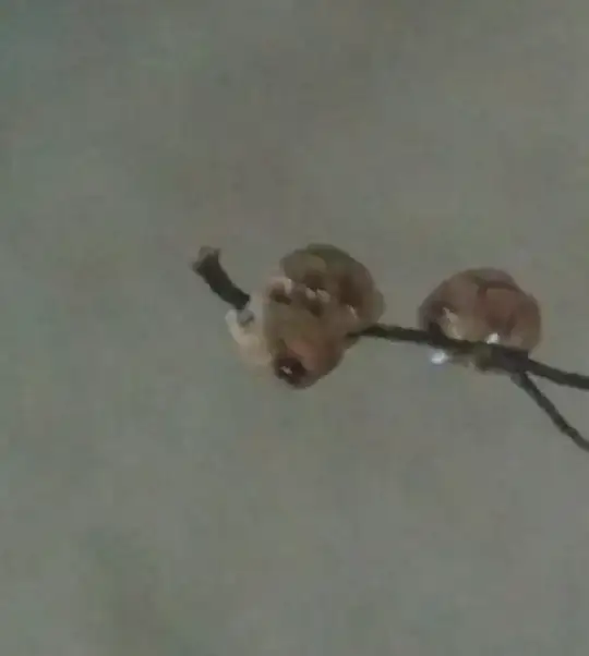 They're wrapped around the twig