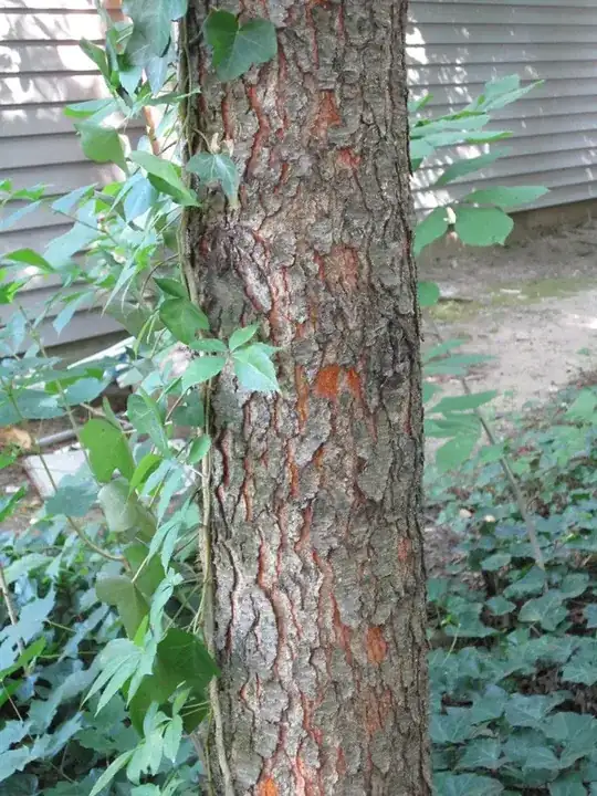 Overall tree