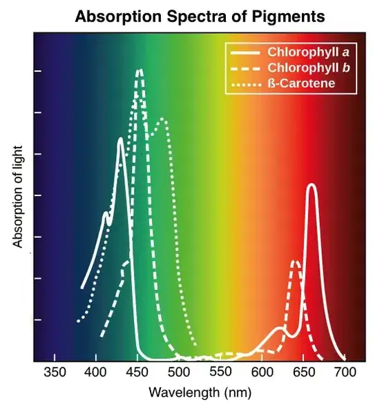graph of aboption bands of clorophil