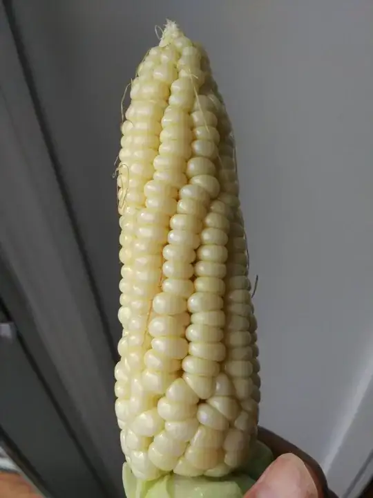 kiddie pool corn cob