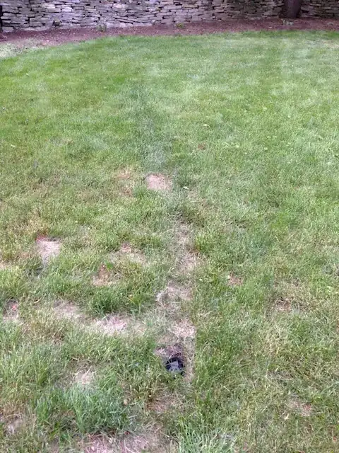 Narrow and bare strip