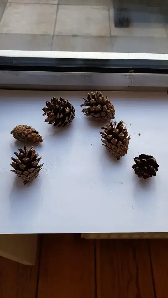 Cones