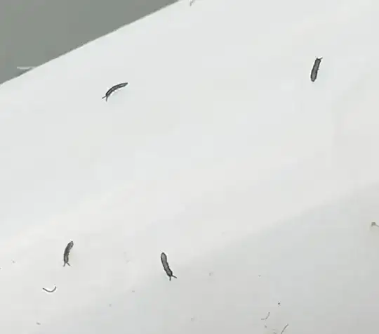 Close-up of bugs