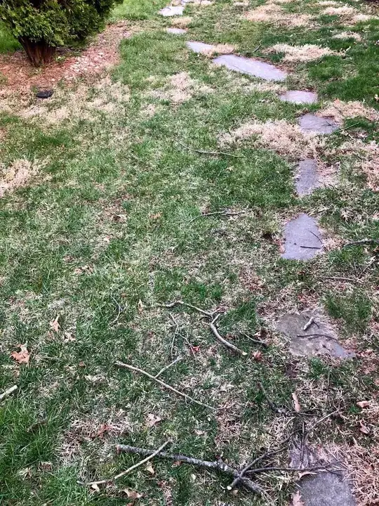 Current lawn