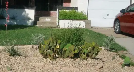 The right end of the xeriscape bed, this is centered around the old cactus bed.
